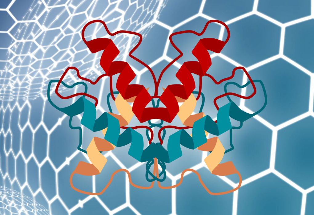 Molekulare Darstellung von Enzymen auf blauem Hintergrund.