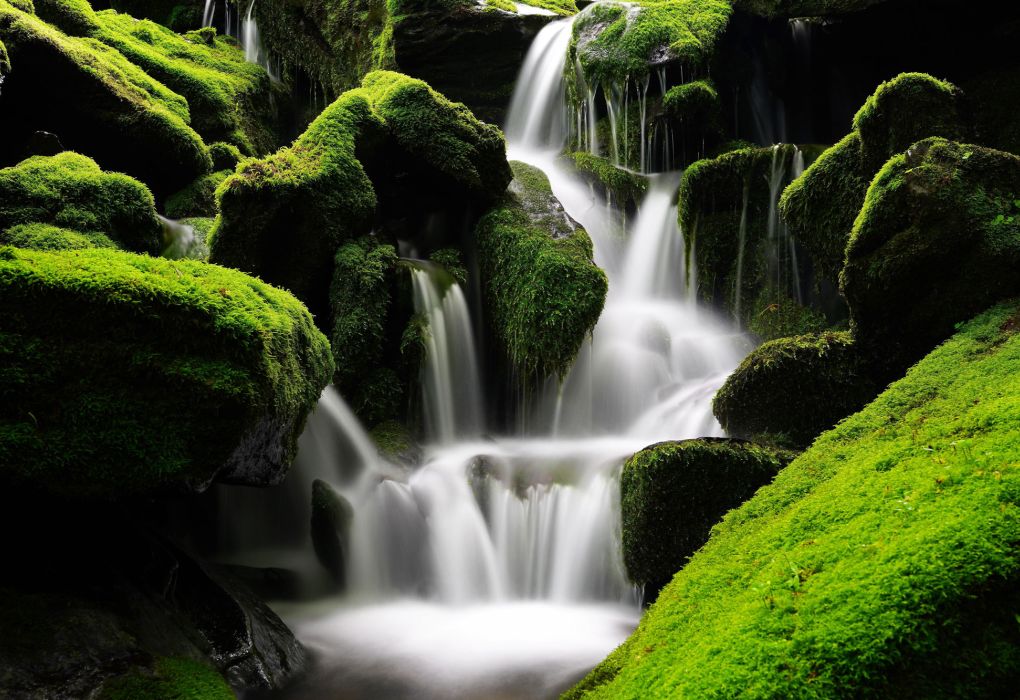 Wasserfall in grüner Natur