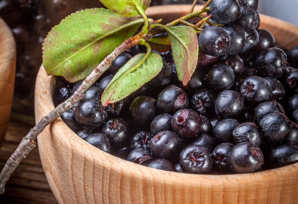 Frische schwarze Aroniabeeren in einer Holzschale