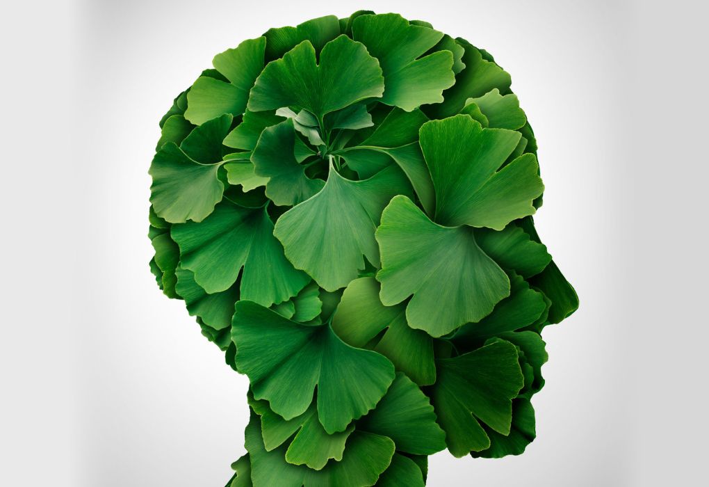 Illustration eines Kopfes, der aus grünen Gingko-Blättern geformt ist.