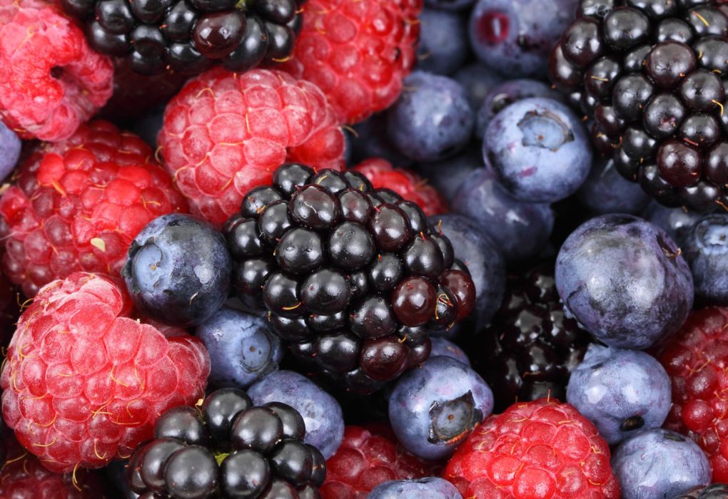 Verschiedene Beeren wie Himbeeren, Brombeeren und Heidelbeeren in Nahaufnahme.