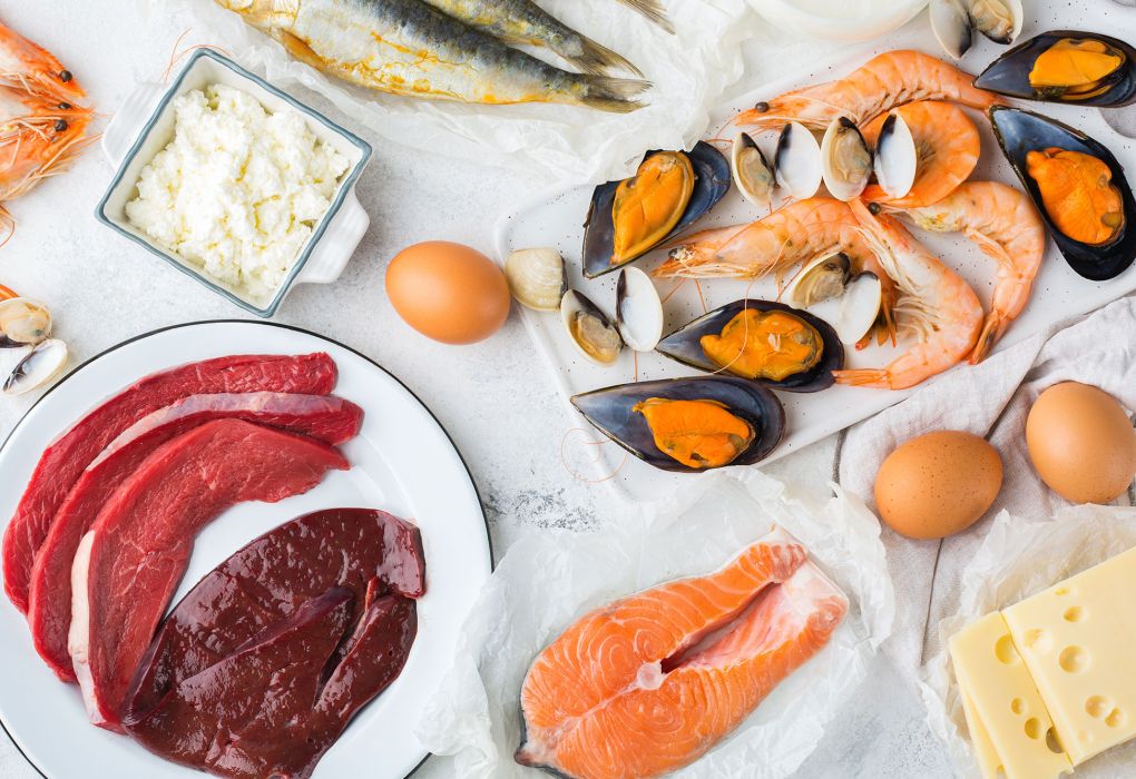 Auswahl an Vitamin-B12-reichen Lebensmitteln wie Fisch, Meeresfrüchte, Fleisch, Eier und Käse