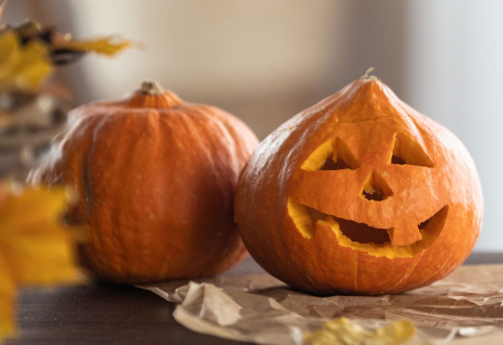 Zwei Kürbisse, einer davon als Halloween-Kürbis mit Gesicht geschnitzt, auf einem herbstlich dekorierten Tisch