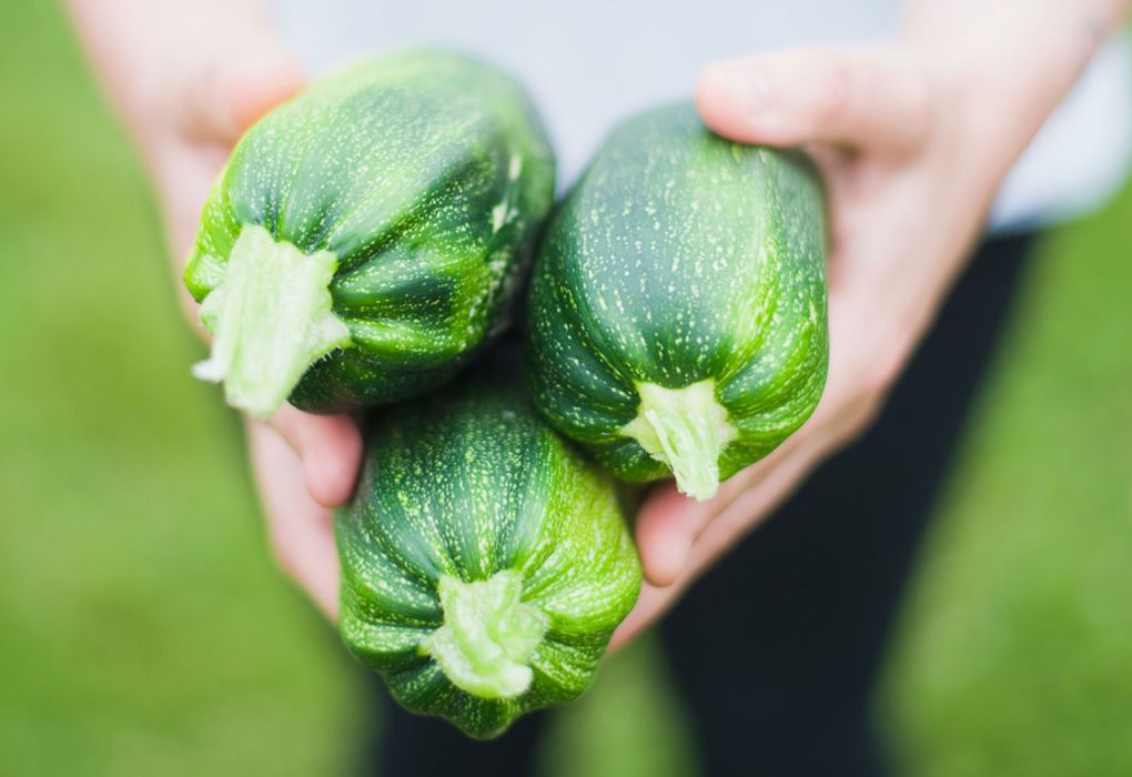 Ein Mann hält drei Zucchinis in die Kamera.