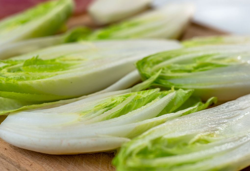 Frische Chicorée-Stauden auf einem Holztisc