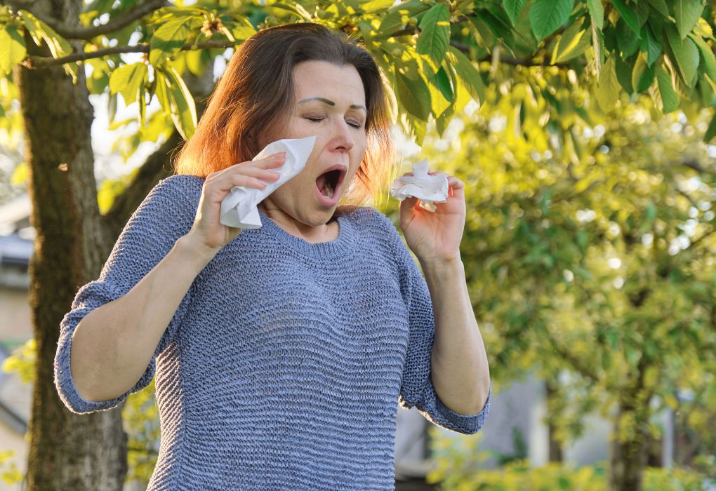 Frau steht im Grünen, niest und nießt
