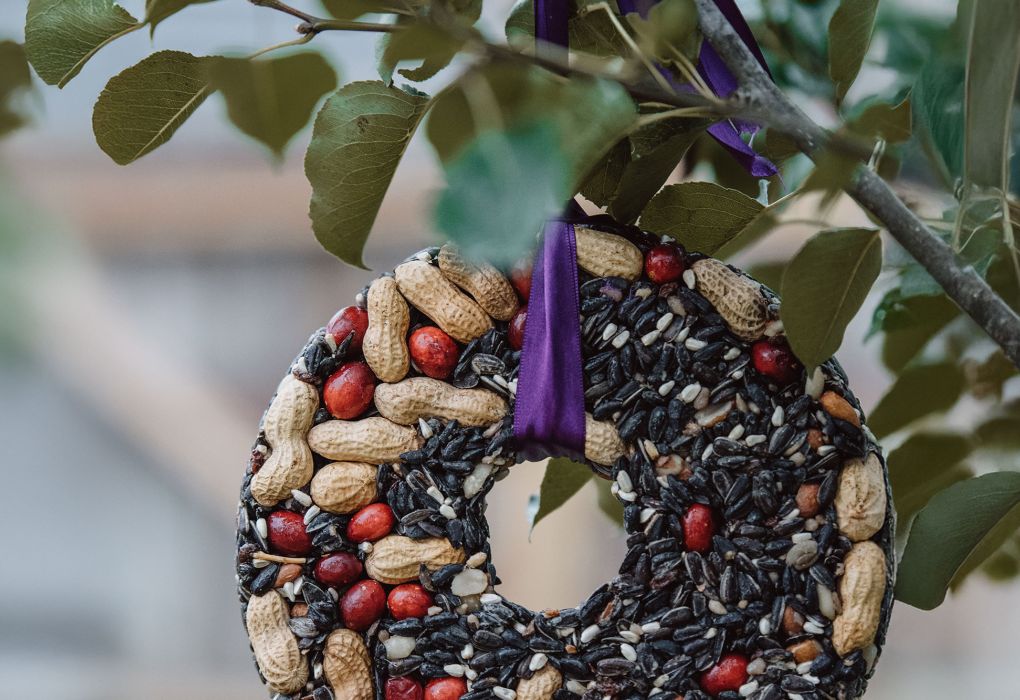 Selbstgemachter Futterring mit Körnern und Samen hängt an einem Baumzweig