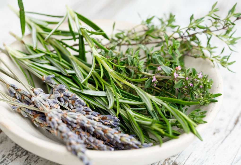 Bündel frischer grüner Kräuter und Lavendel in einer Schale