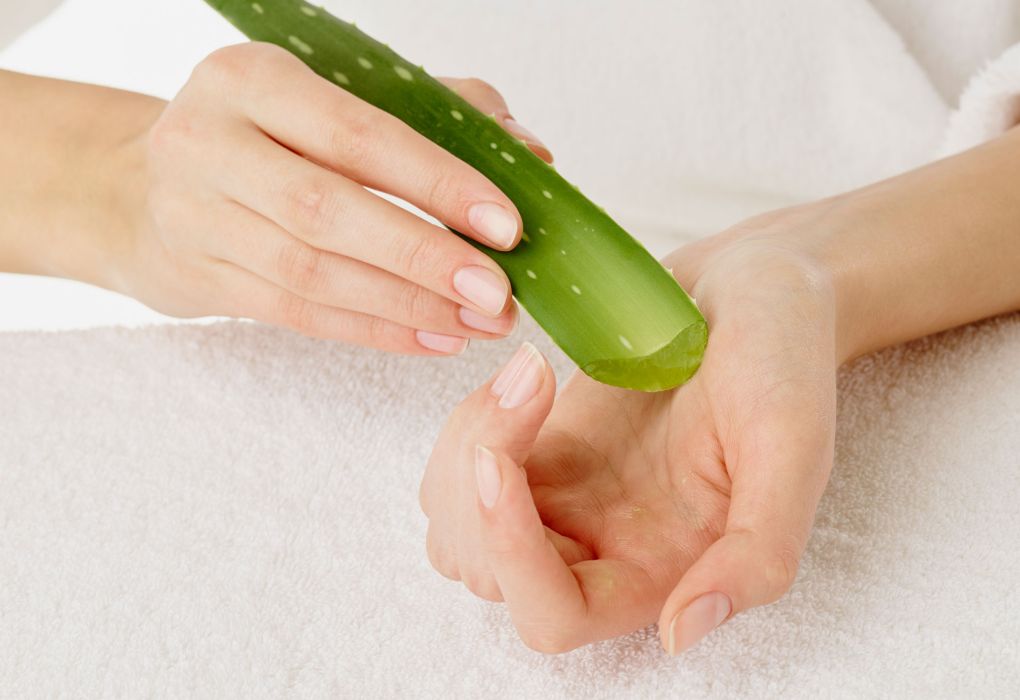Hände pressen frisches Aloe-Vera-Gel aus einem grünen Blatt