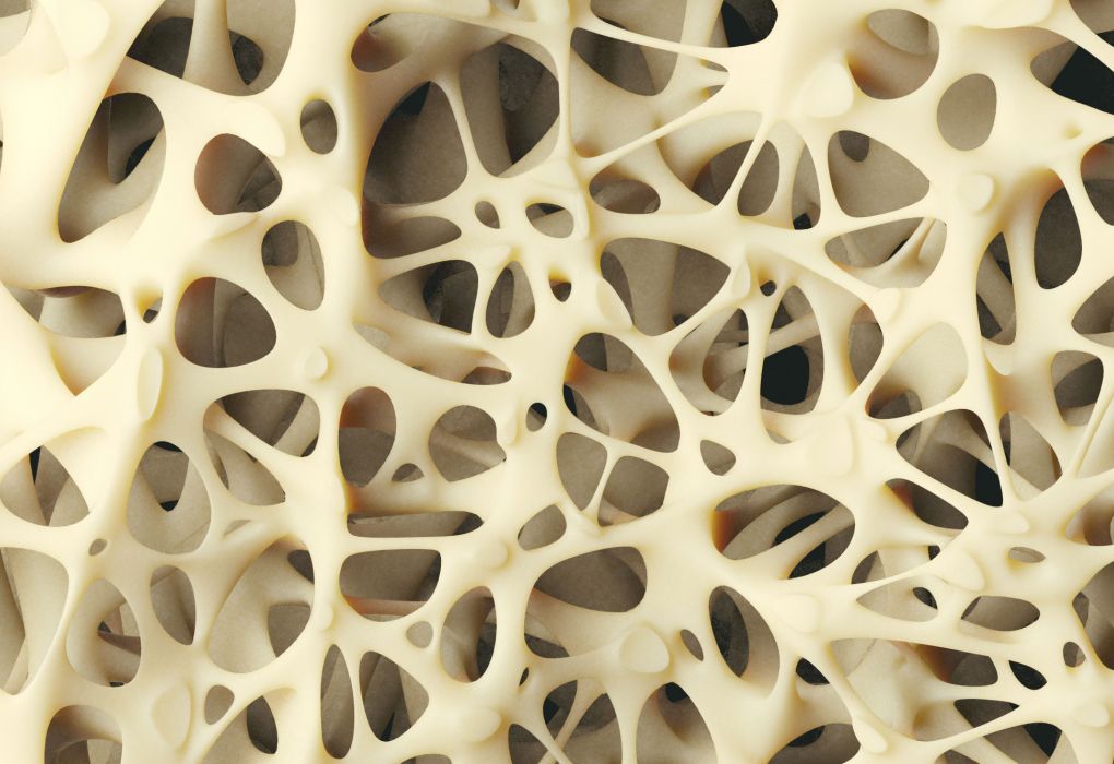 Detailaufnahme einer porösen Knochenstruktur