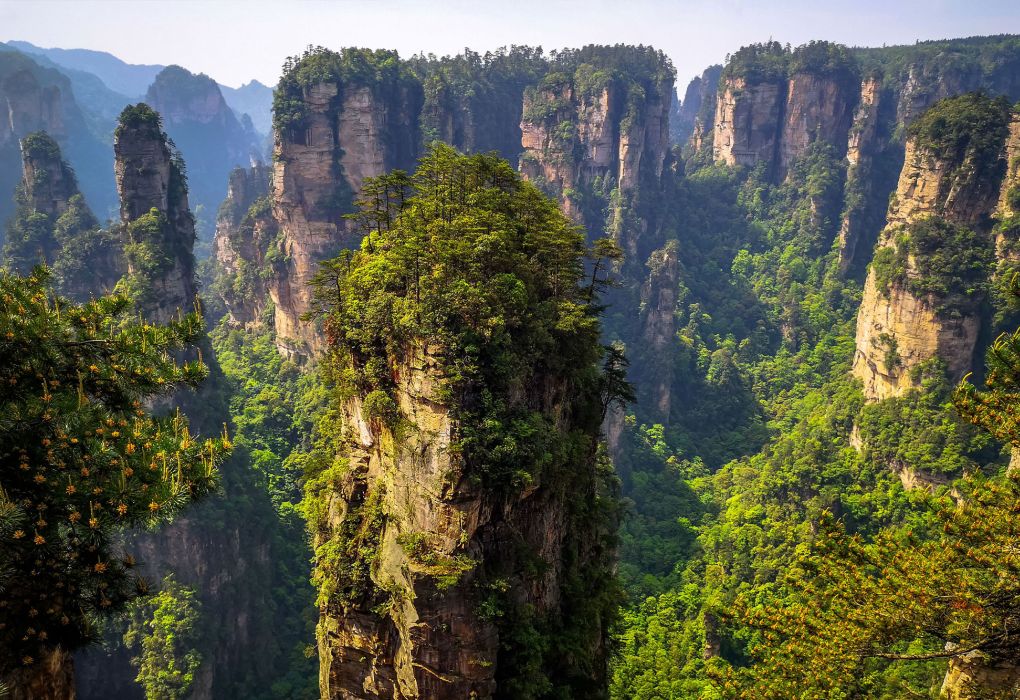Hohe Sandsteinfelsen mit Bäumen auf den Spitzen in einer grünen Landschaft