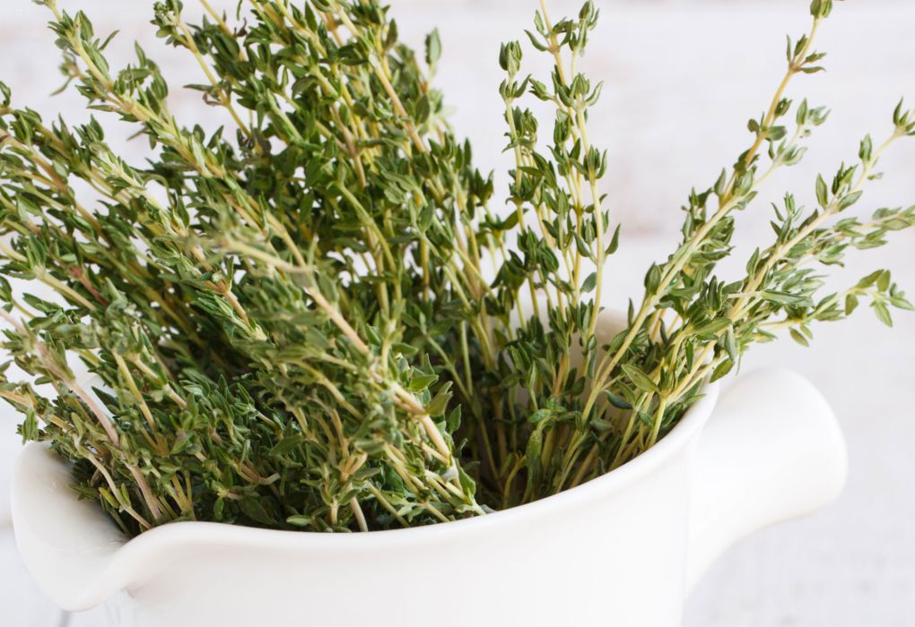 Bündel frischer Thymianzweige in einem weißen Mörser auf hellem Hintergrund