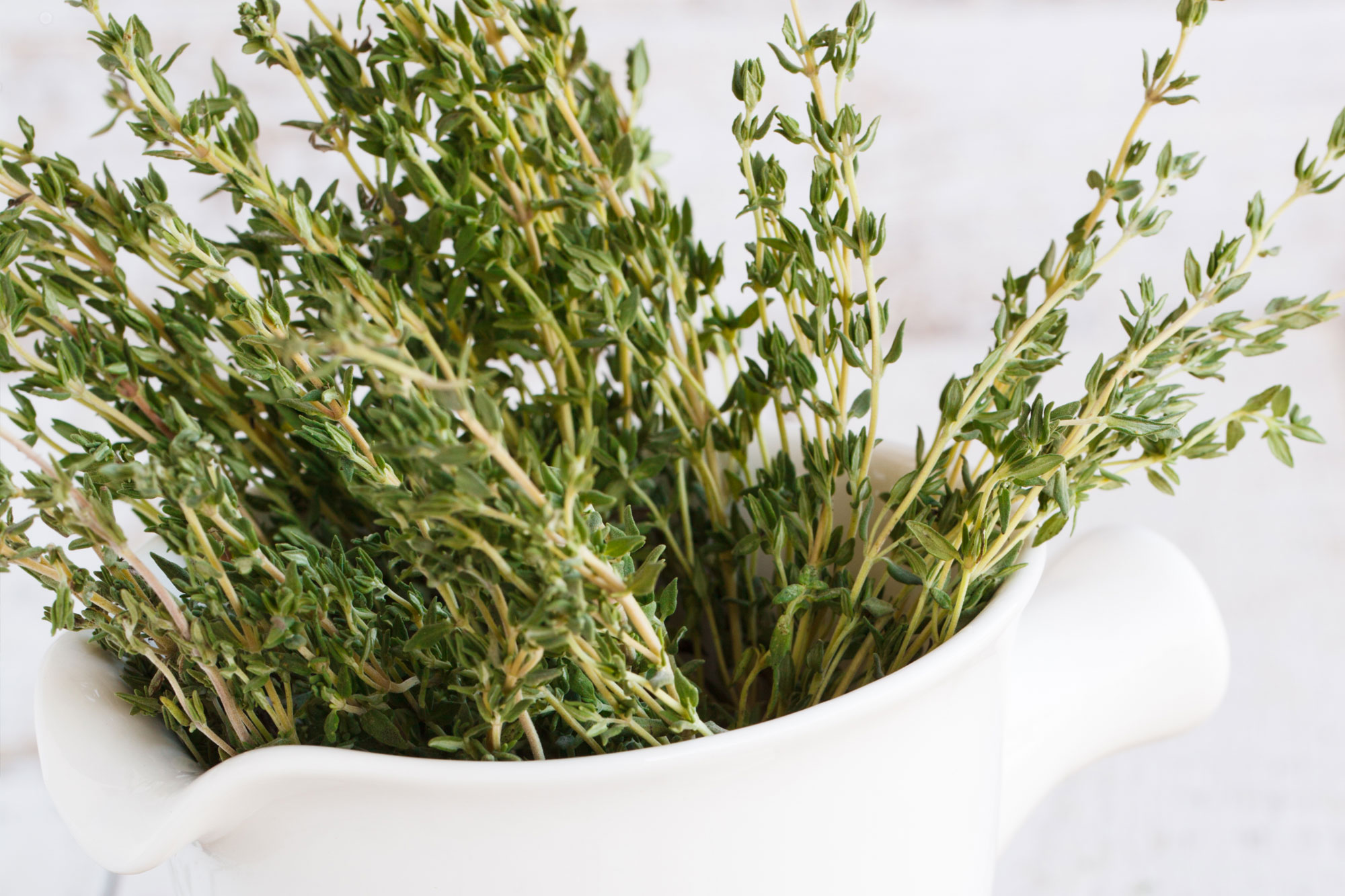 Bündel frischer Thymianzweige in einem weißen Mörser auf hellem Hintergrund