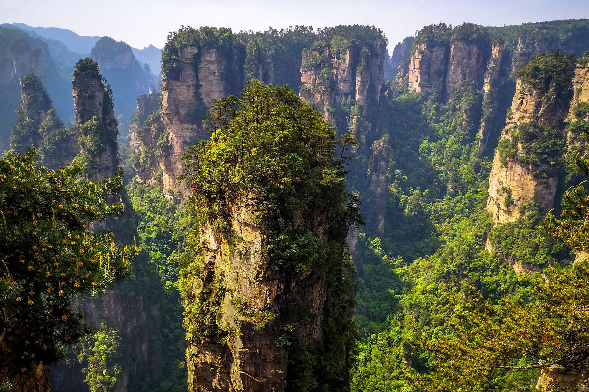 Hohe Sandsteinfelsen mit Bäumen auf den Spitzen in einer grünen Landschaft