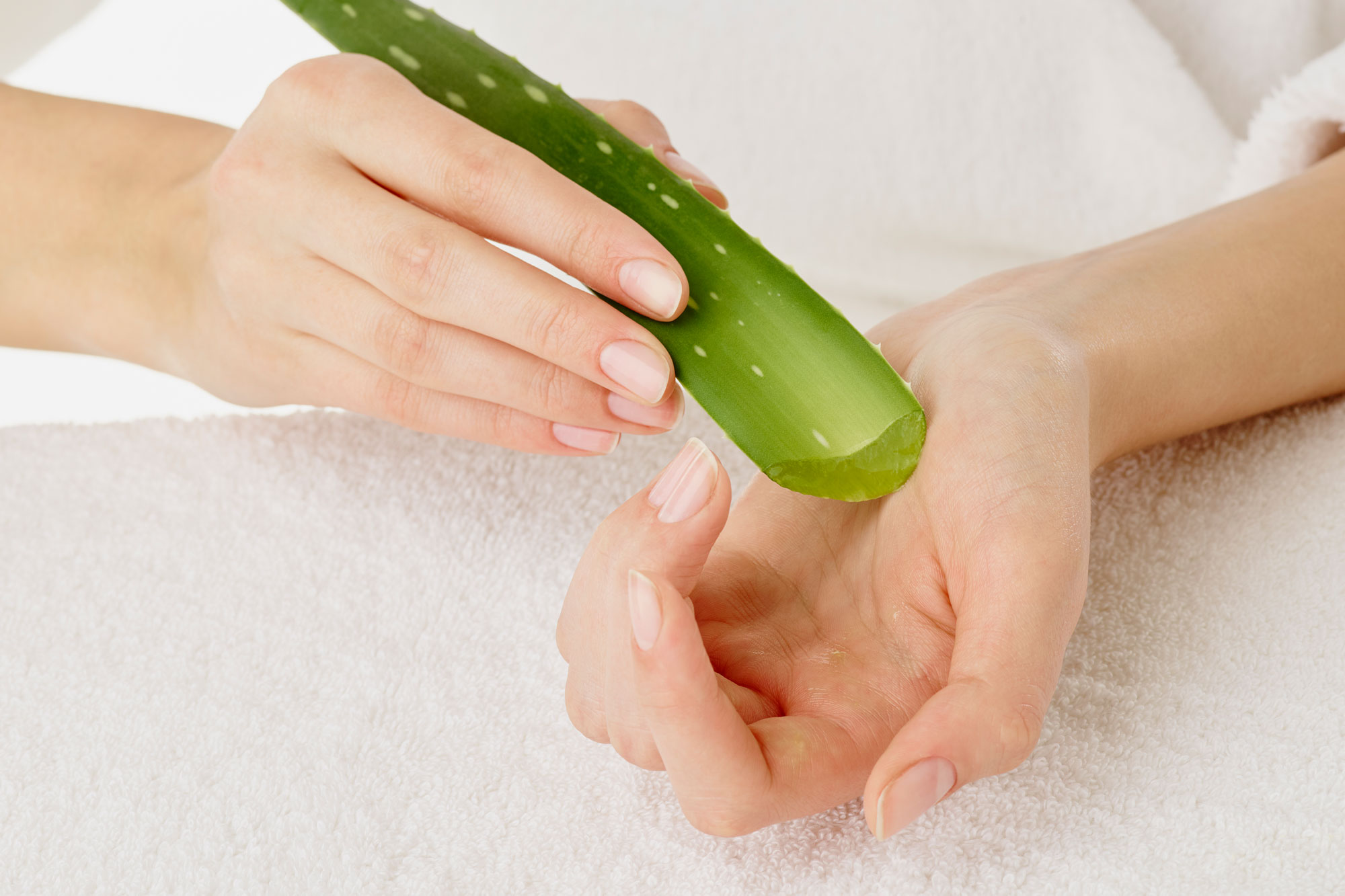 Hände pressen frisches Aloe-Vera-Gel aus einem grünen Blatt