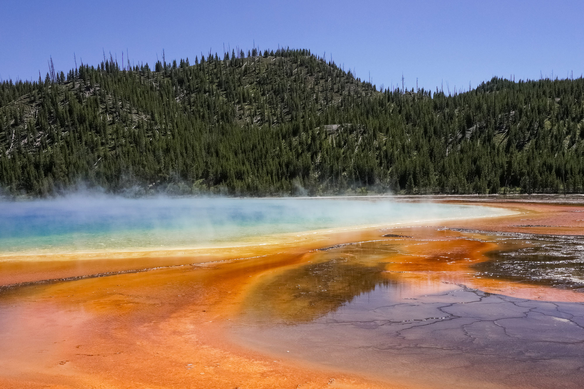 aturaufnahme einer heißen Quelle mit dampfendem Wasser und bunten Mineralablagerungen