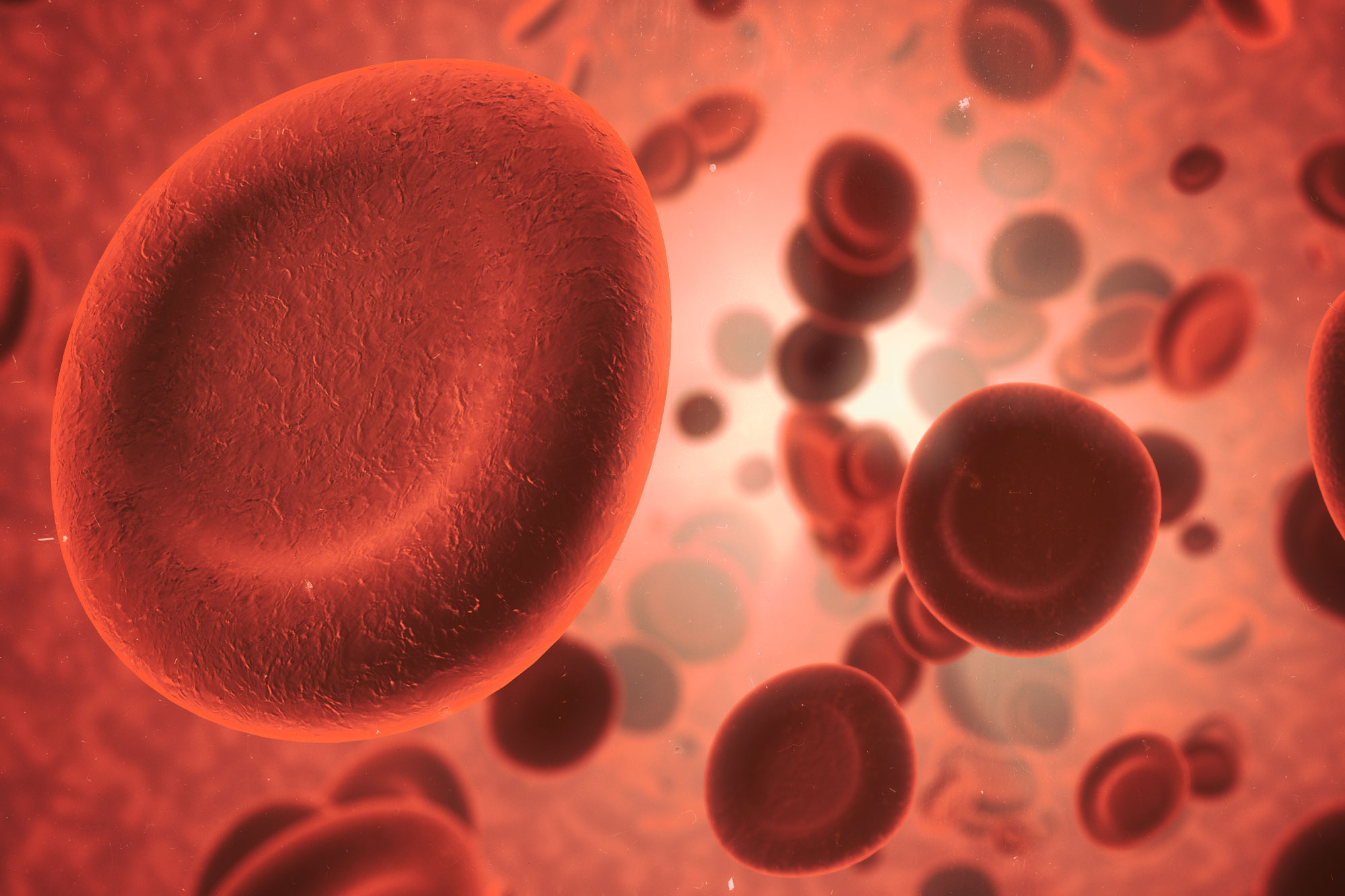 Mikroskopische Darstellung von roten Blutkörperchen mit Eisenmolekülen