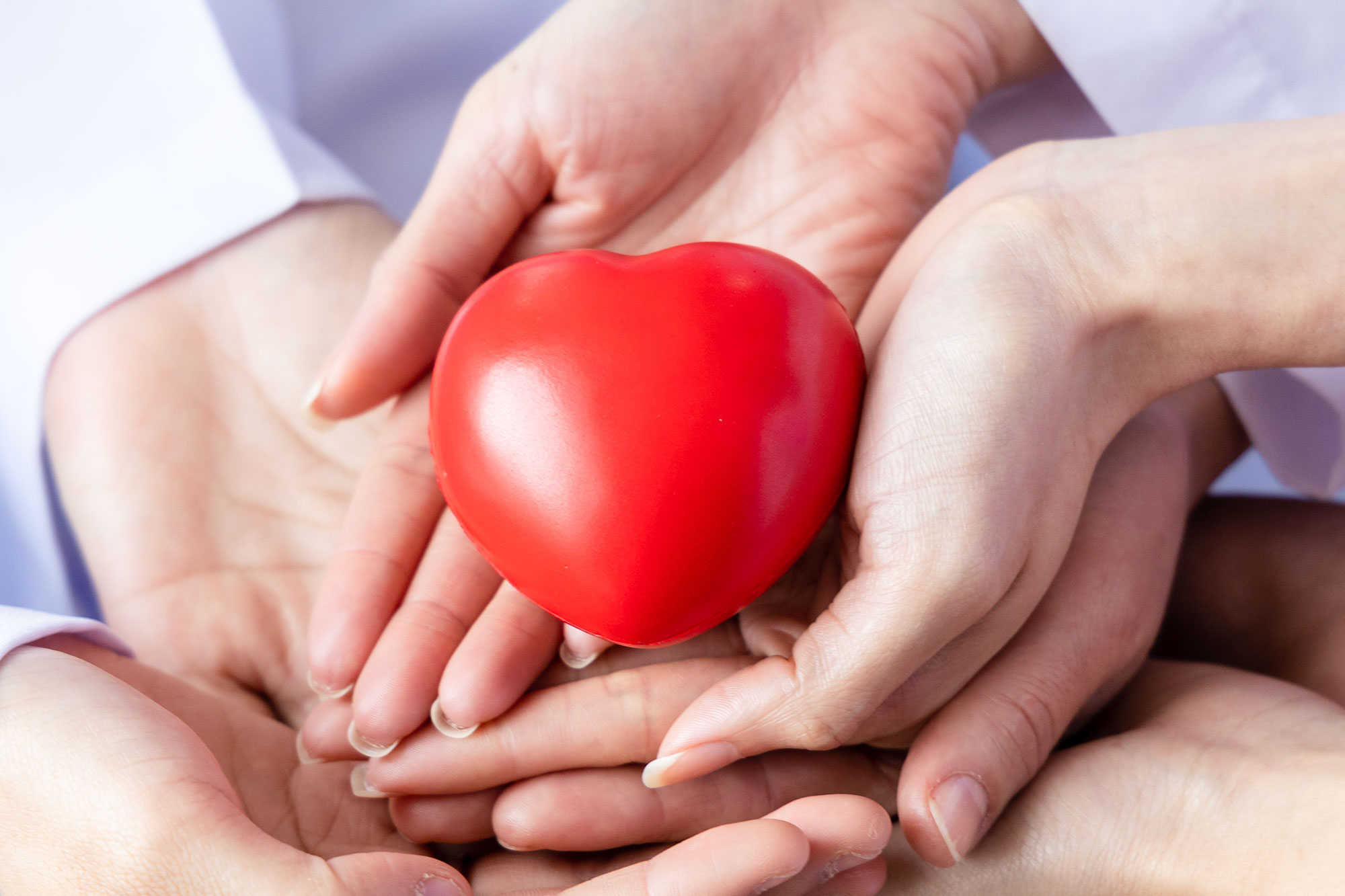 Hände halten ein rotes Herzmodell gemeinsam