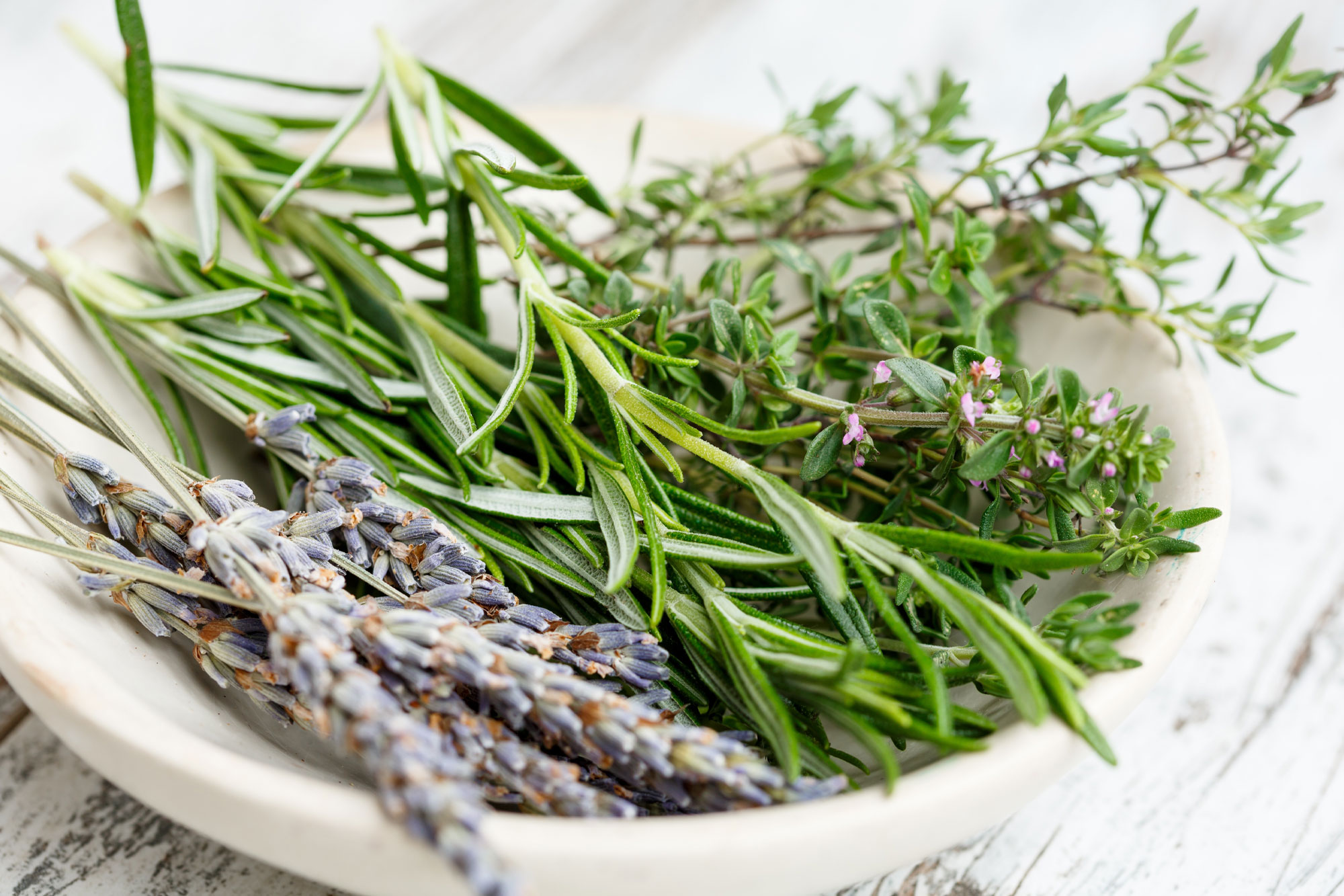 Bündel frischer grüner Kräuter und Lavendel in einer Schale